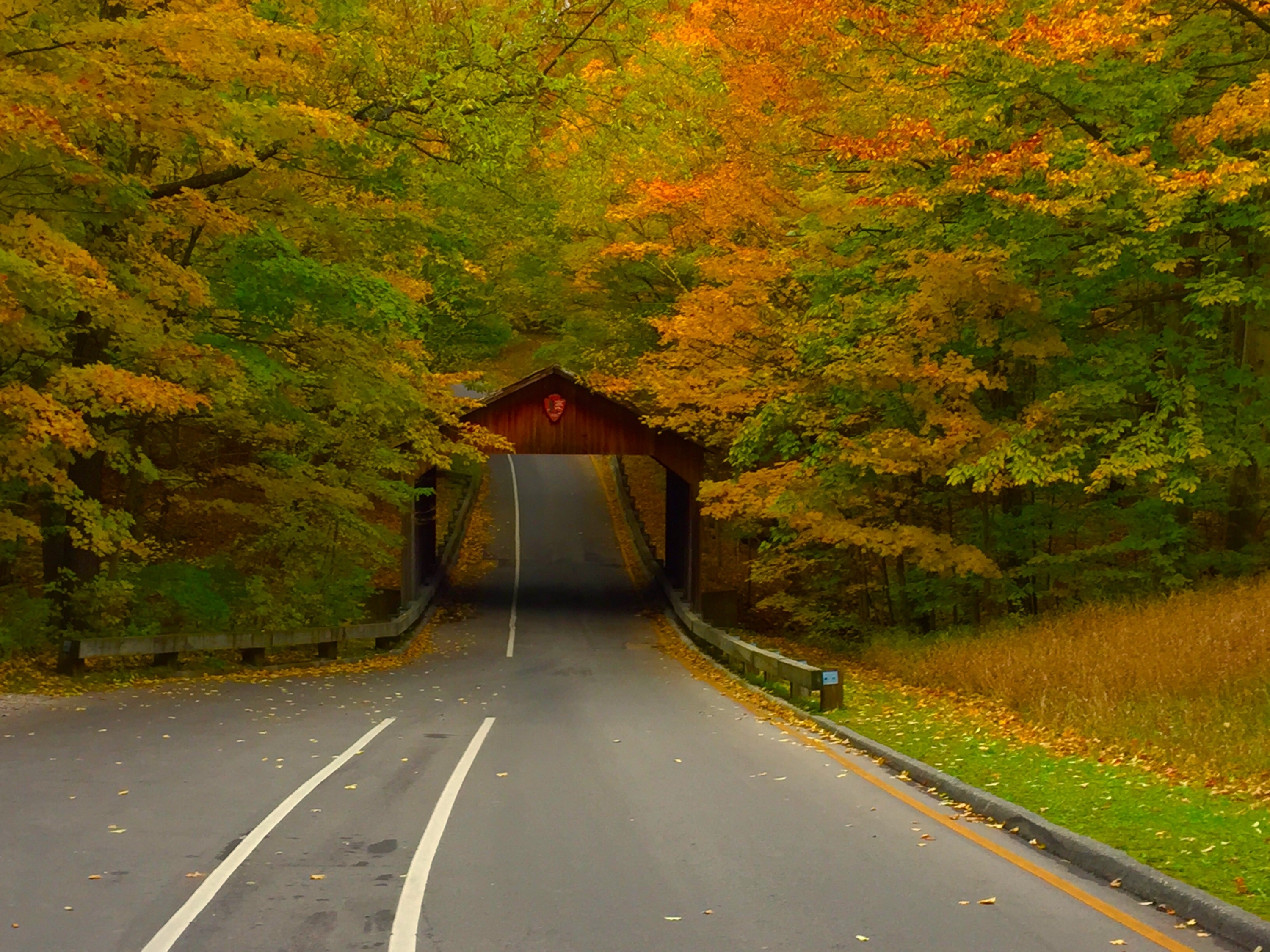 Pierce Stocking Scenic Drive Covered Bridge